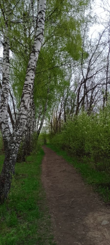 Photograph by Александр Евреинов