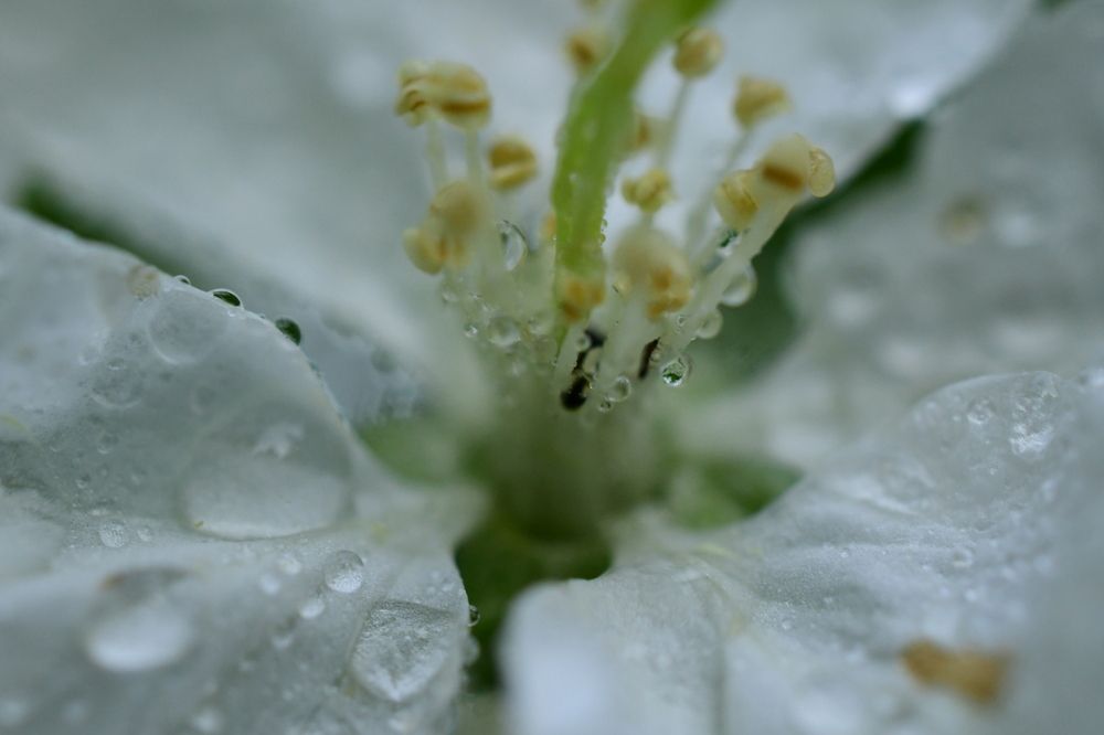 Photograph by Алексей Volg