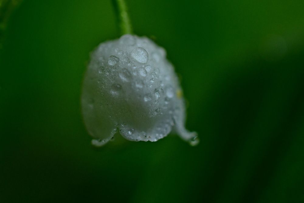 Photograph by Алексей Volg