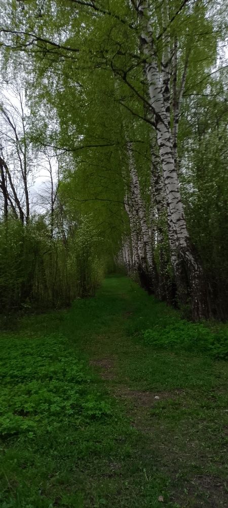 Photograph by Александр Евреинов