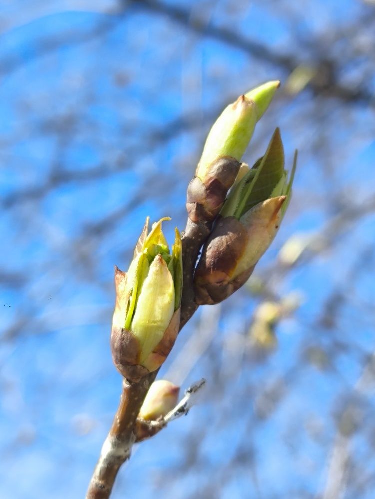 Photograph by Лариса Лысенко