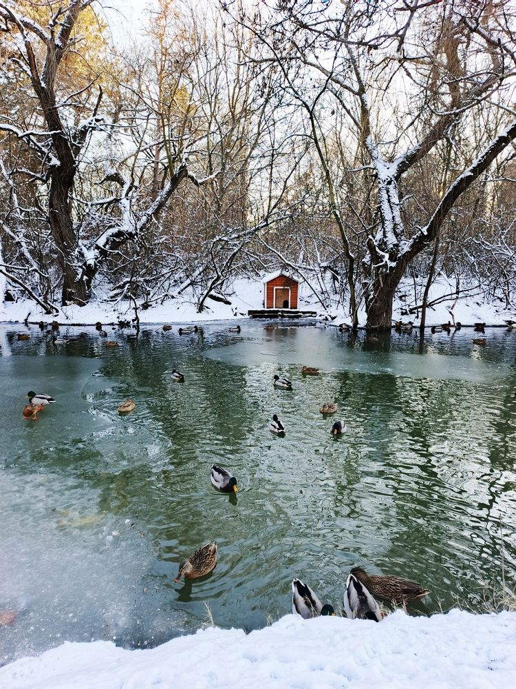 Фотография автора Екатерина Юнак