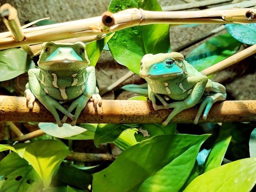 Photograph by Елена Бадзюх