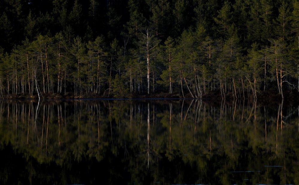 Photograph by Margareth Tikhonova