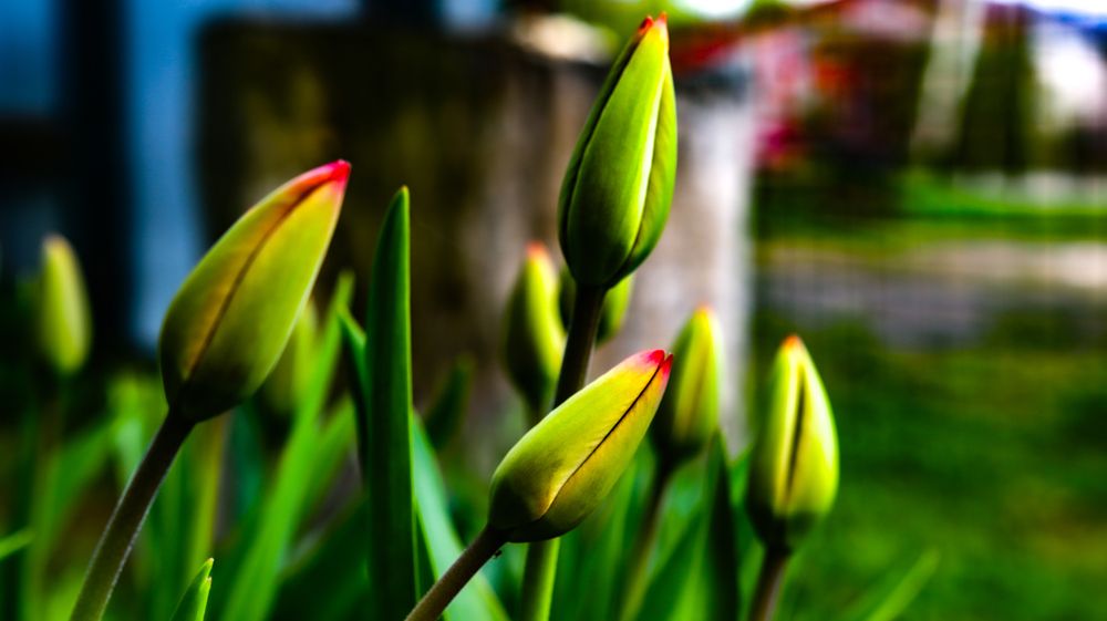Photograph by Анна Чадова