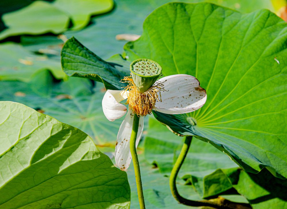 Photograph by Анна Чадова