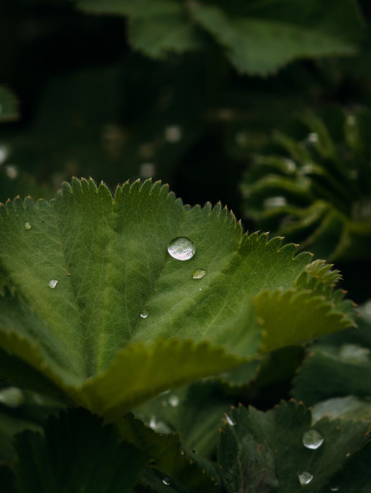 Photograph by Евгений Порсов