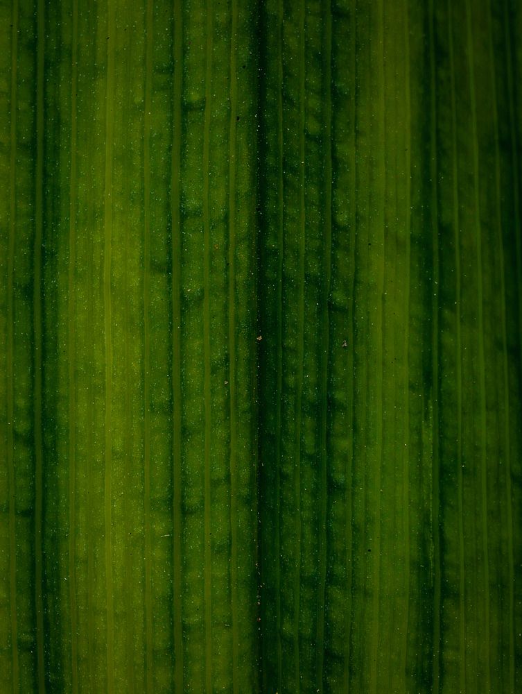Photograph by Евгений Порсов