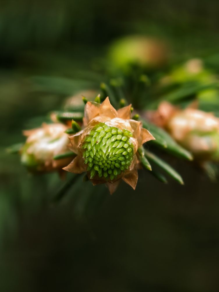 Photograph by Евгений Порсов