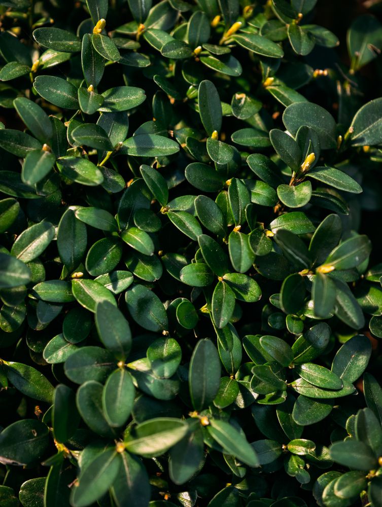Photograph by Евгений Порсов