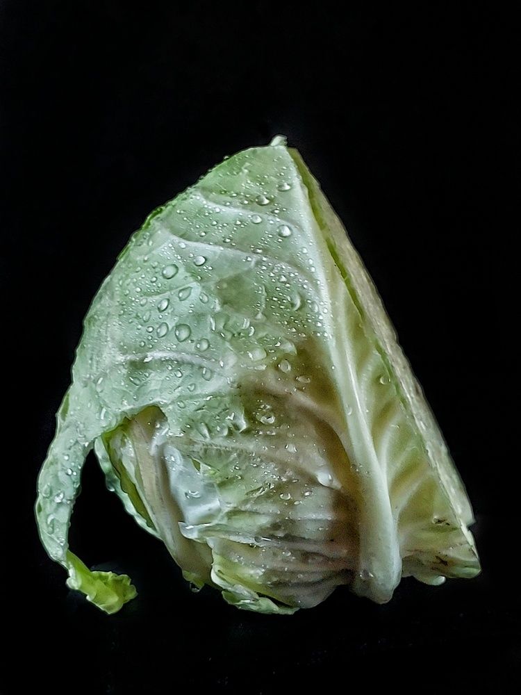 Photograph by Рахматуллина Эмма