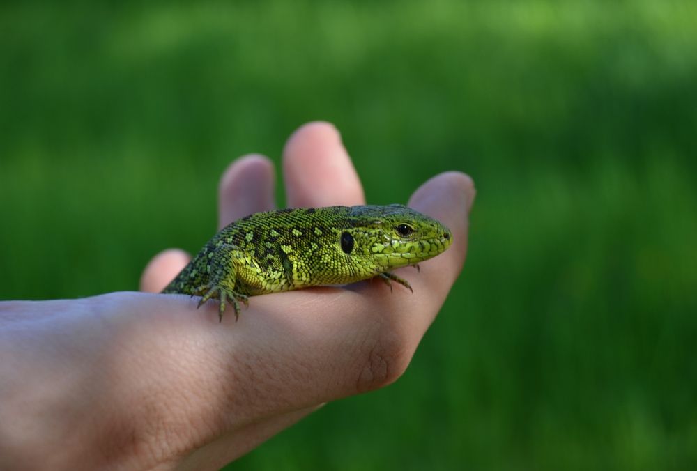 Photograph by Natalia Kalinina