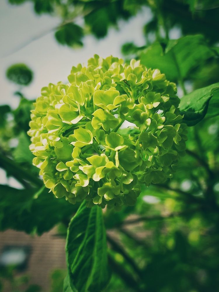 Photograph by Irina Vorobeva