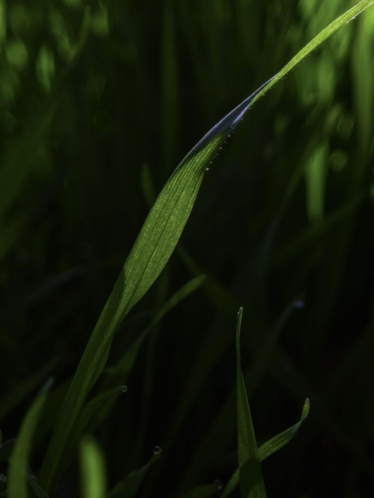 Photograph by Сергей Пыдык