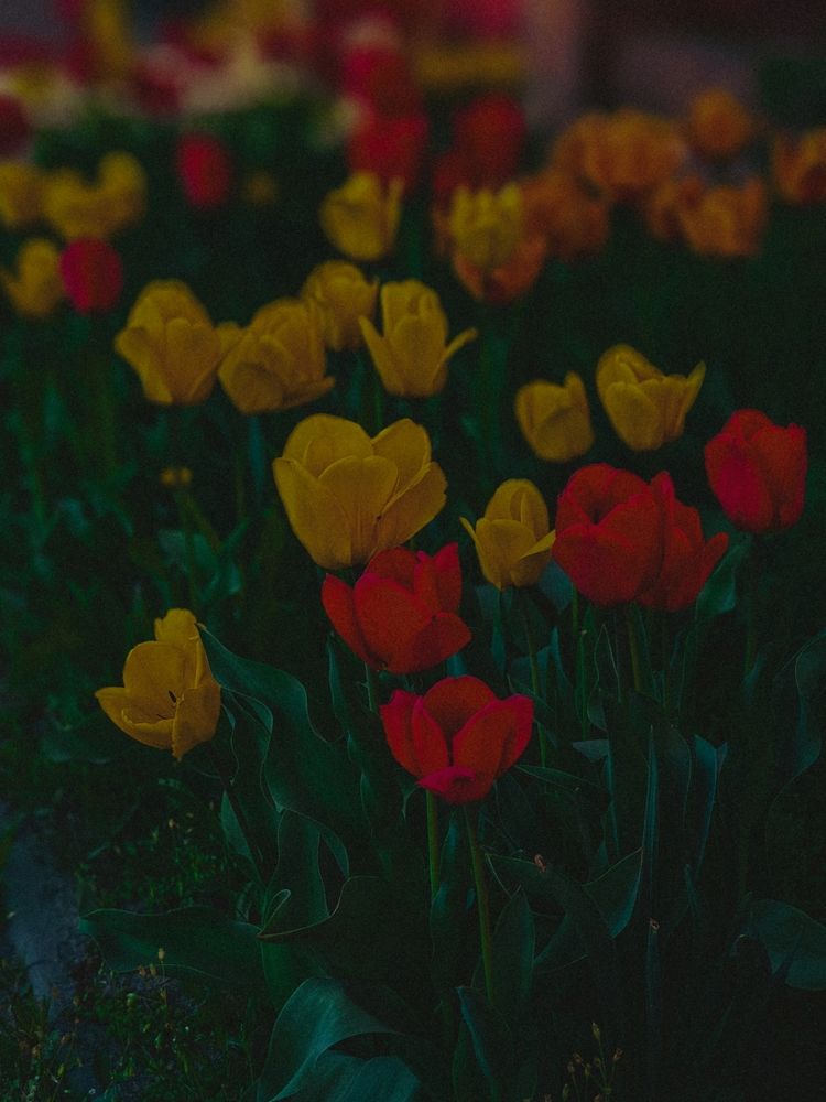 Photograph by Сергей Пыдык