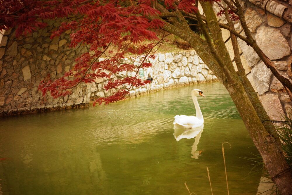 Photograph by Elizaveta
