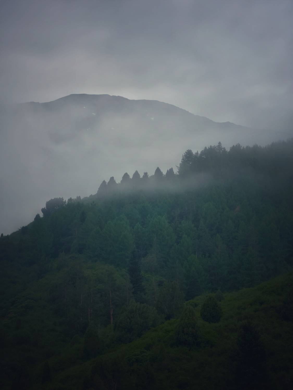 Photo #13594945