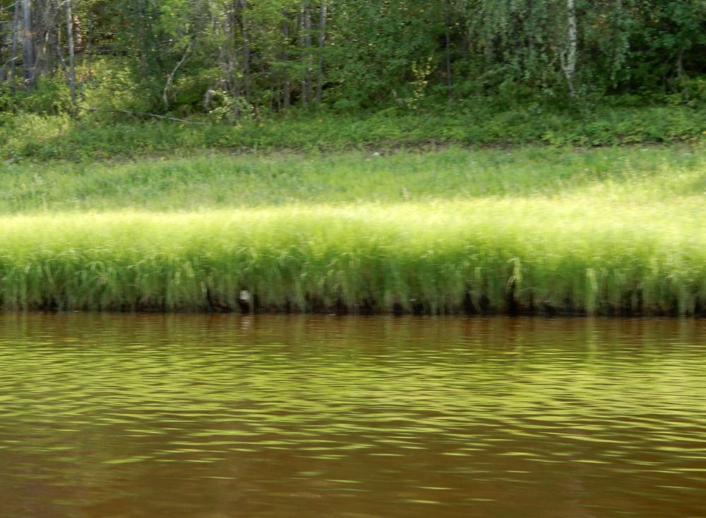 Photograph by София Гавриловна Вотякова