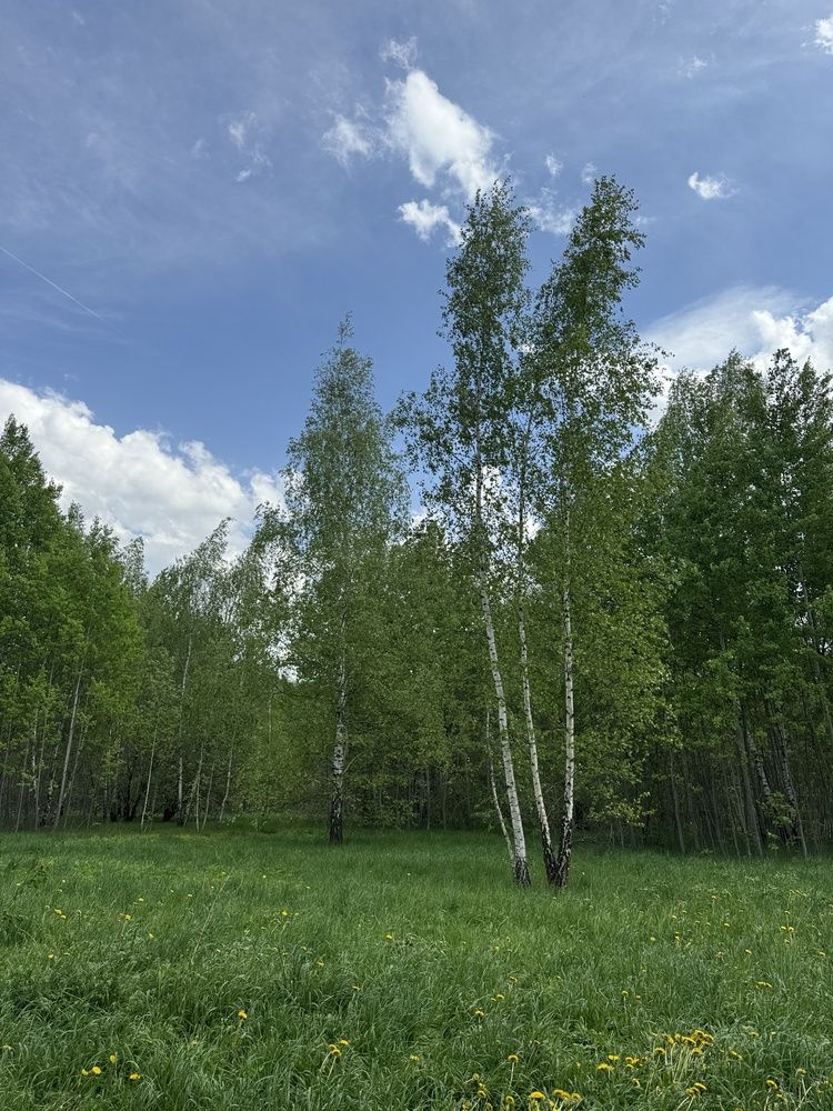 Фотография автора Галина Санчирова