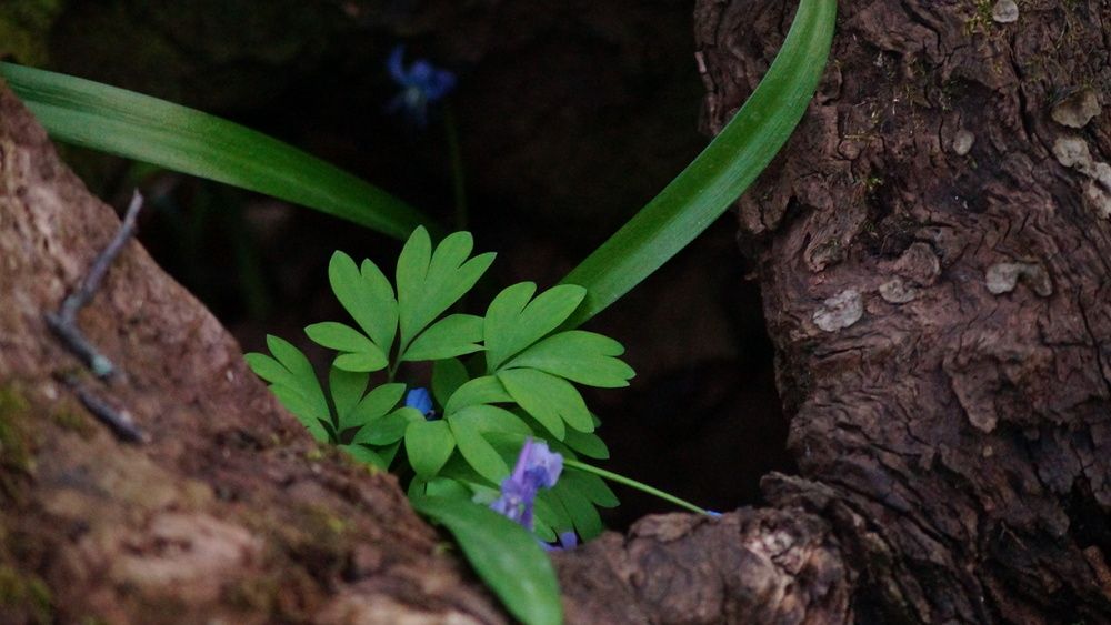 Photograph by Оксана Гамова