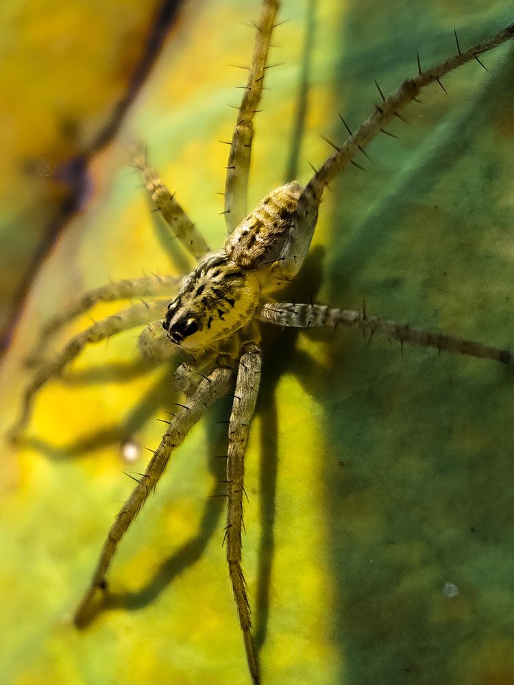 Photograph by Kandarp Mehta