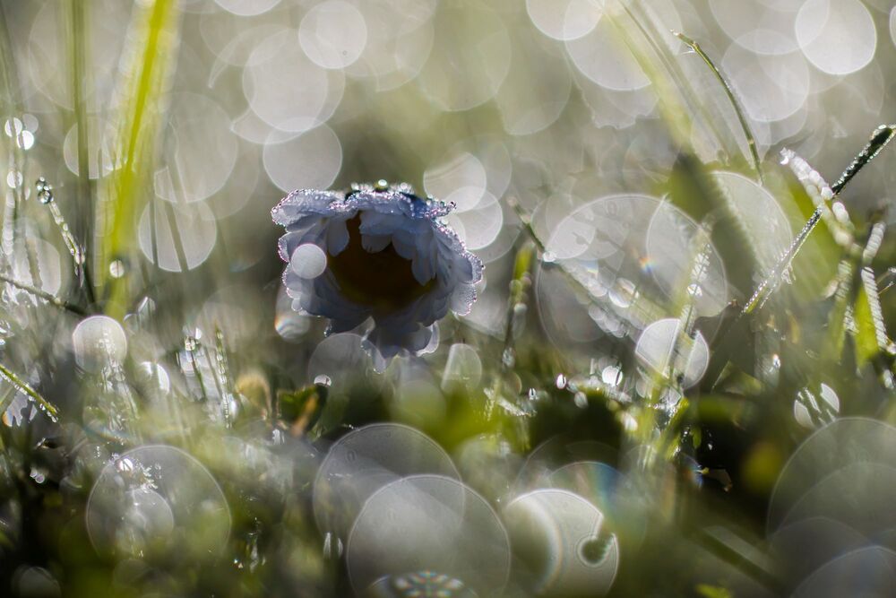 Photograph by Волынский Виктор