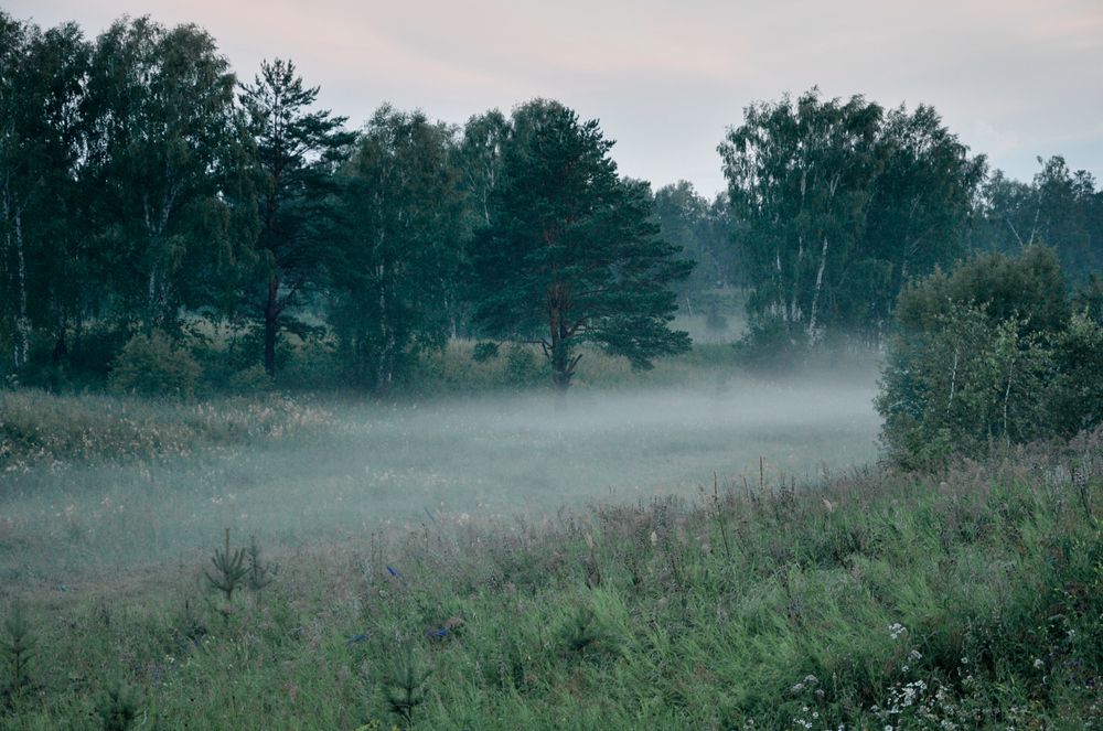 Photograph by Константин Громов