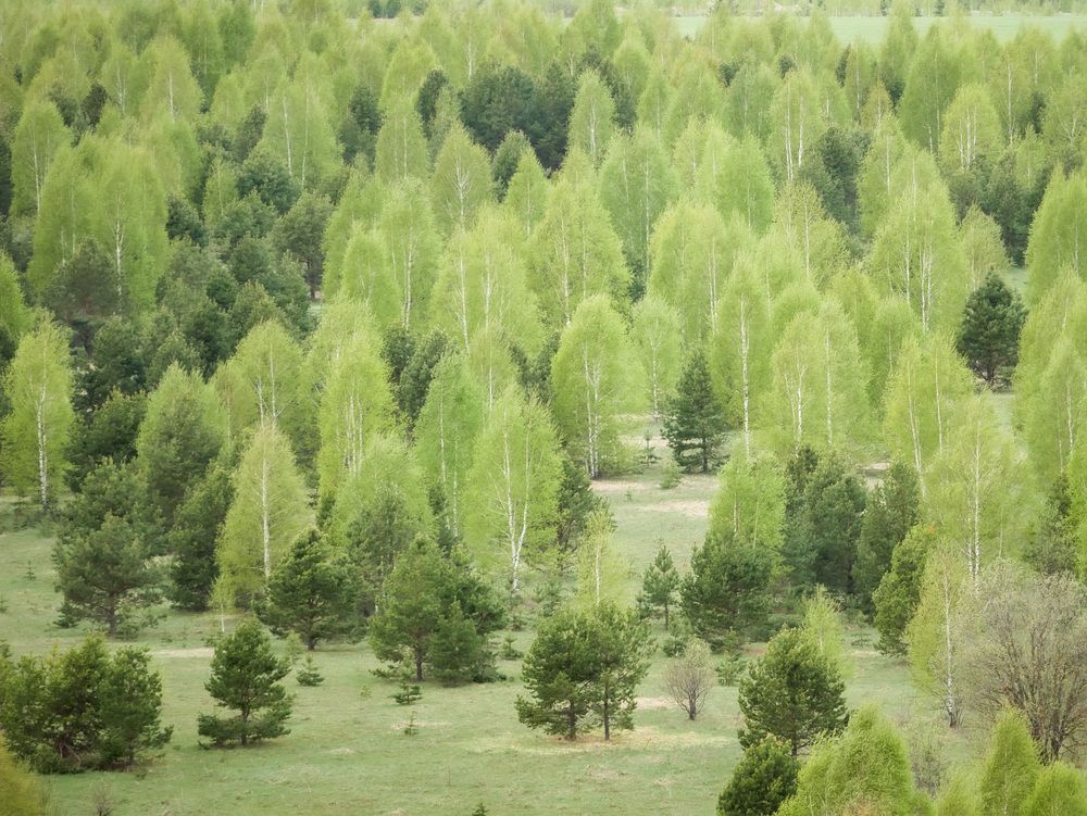 Photograph by Сергей Забиякин