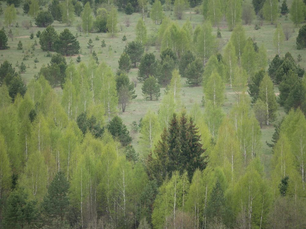 Photograph by Сергей Забиякин