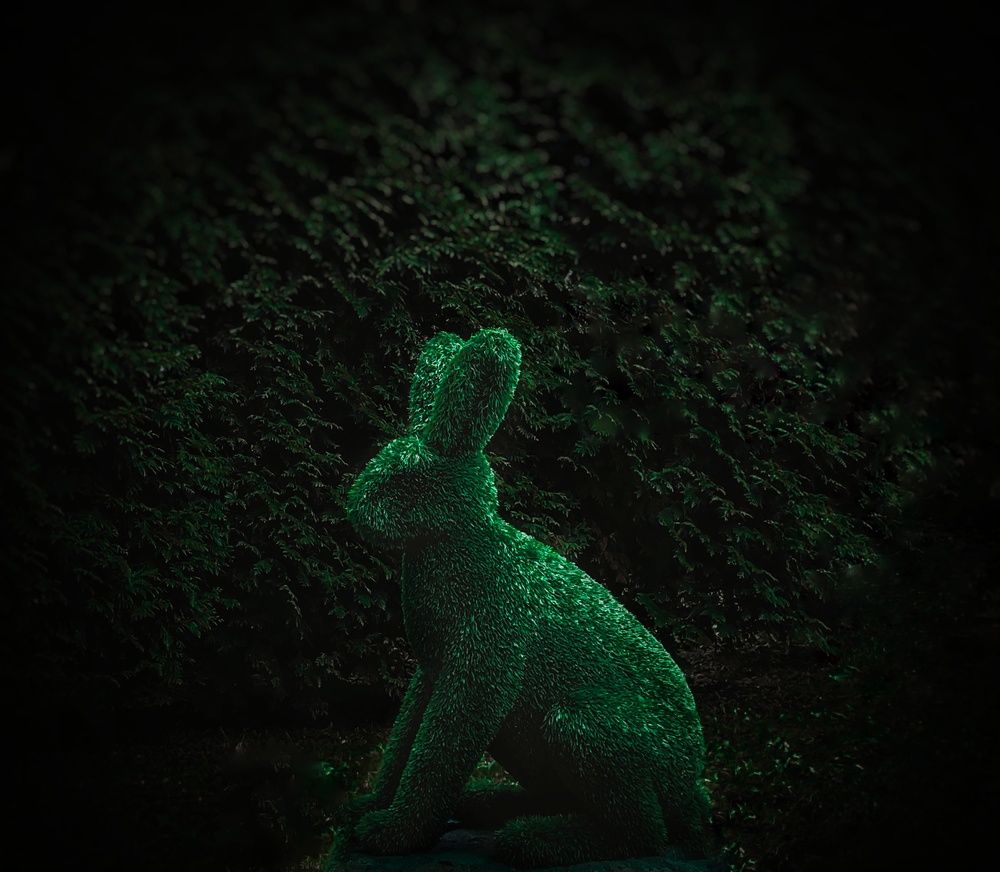Photograph by Дайана