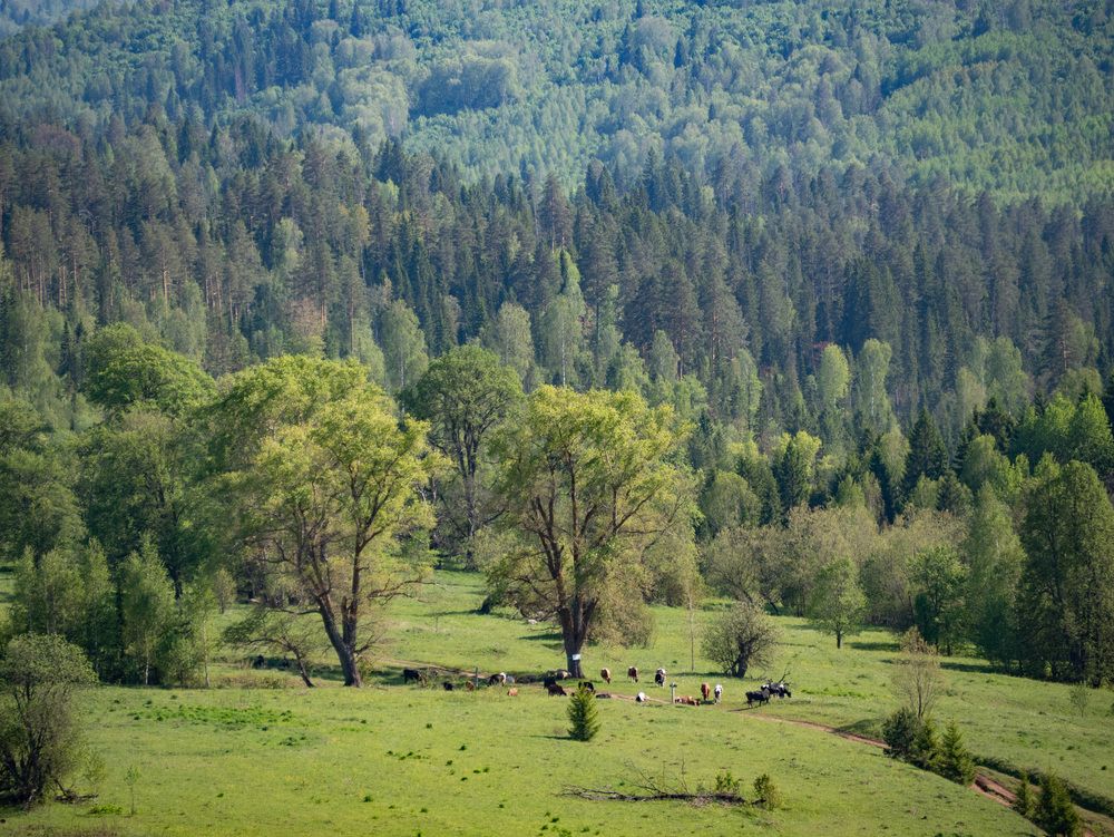 Photograph by Сергей Забиякин