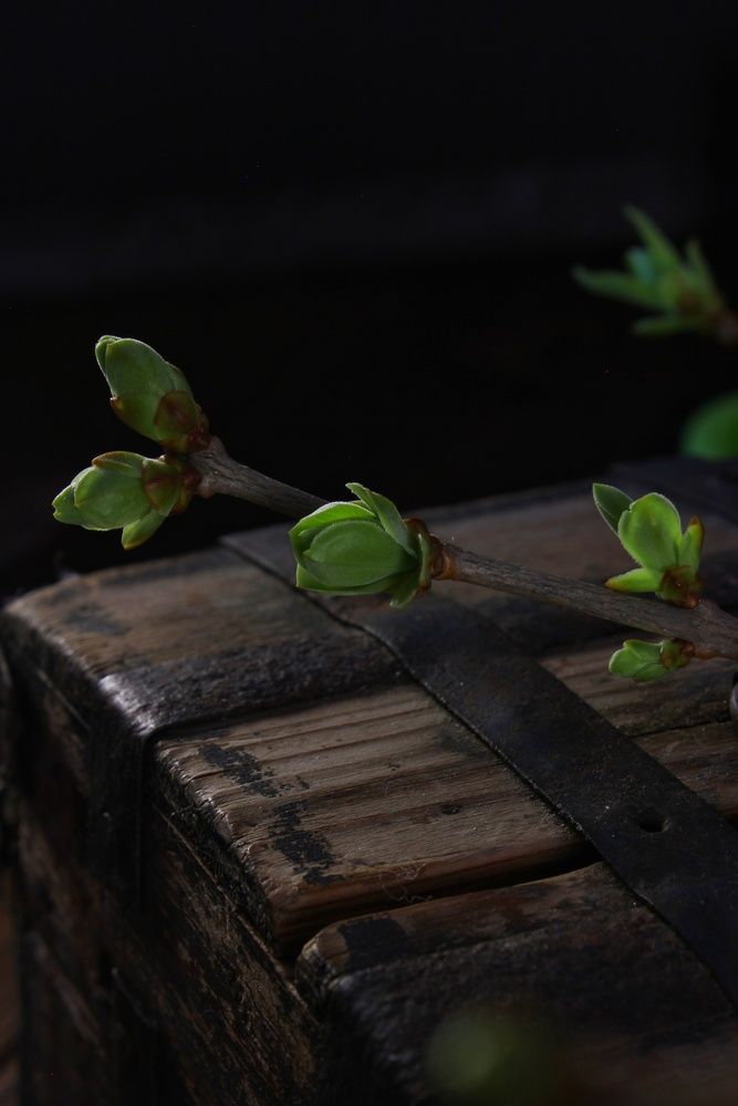 Photograph by Татьяна Орехова