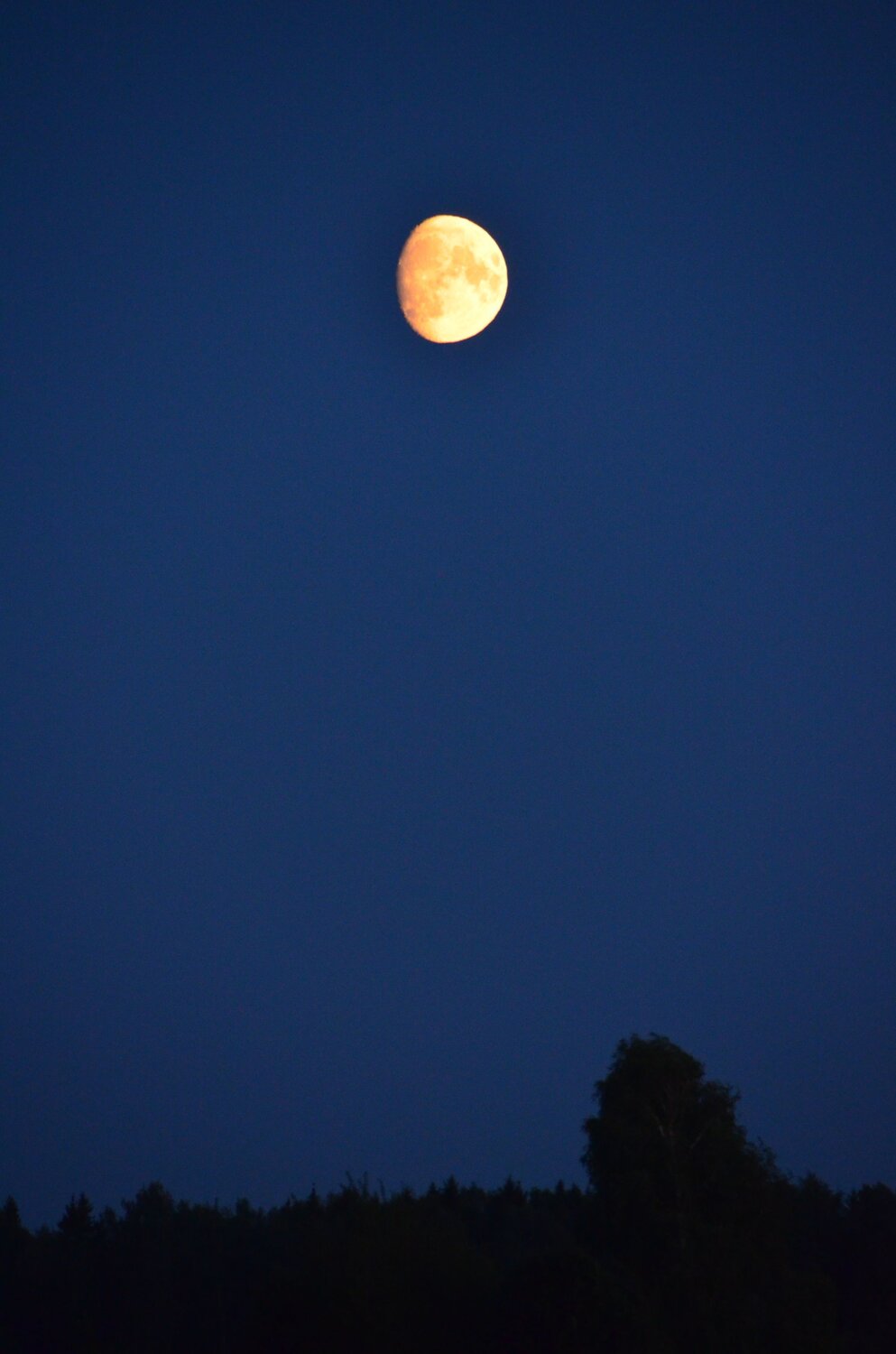 Photo #13595357