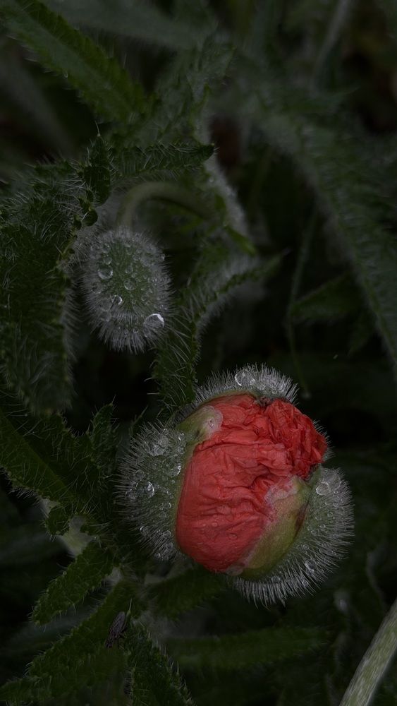 Photograph by Наталья Тургулайнен