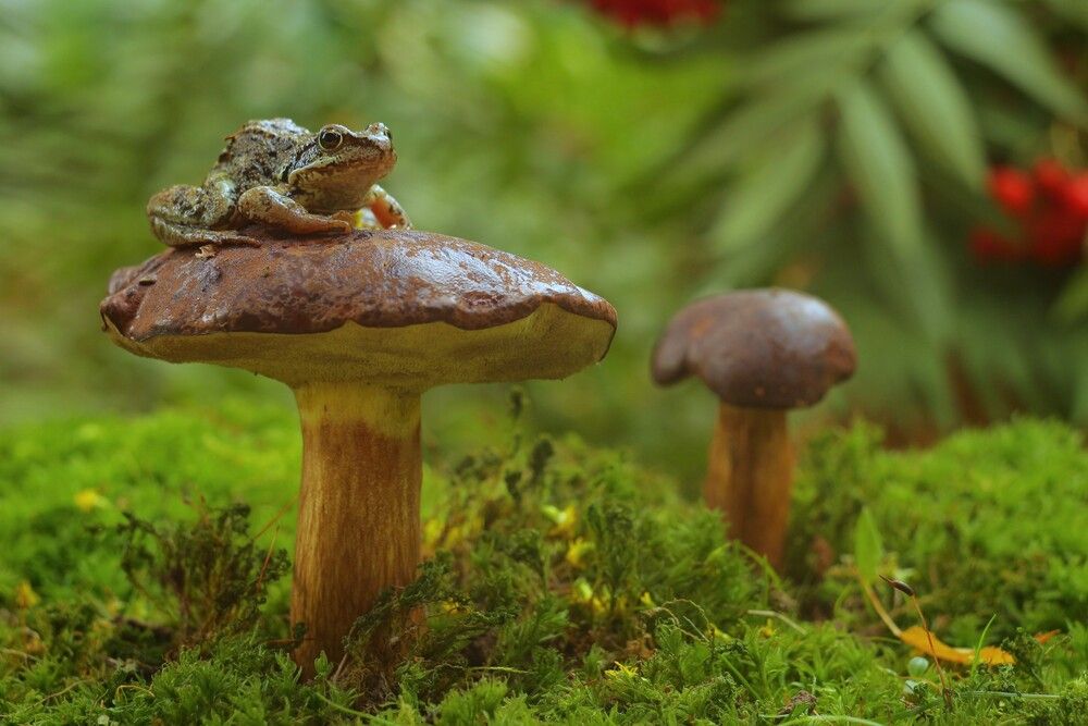 Photograph by Людмила Хрусталева*