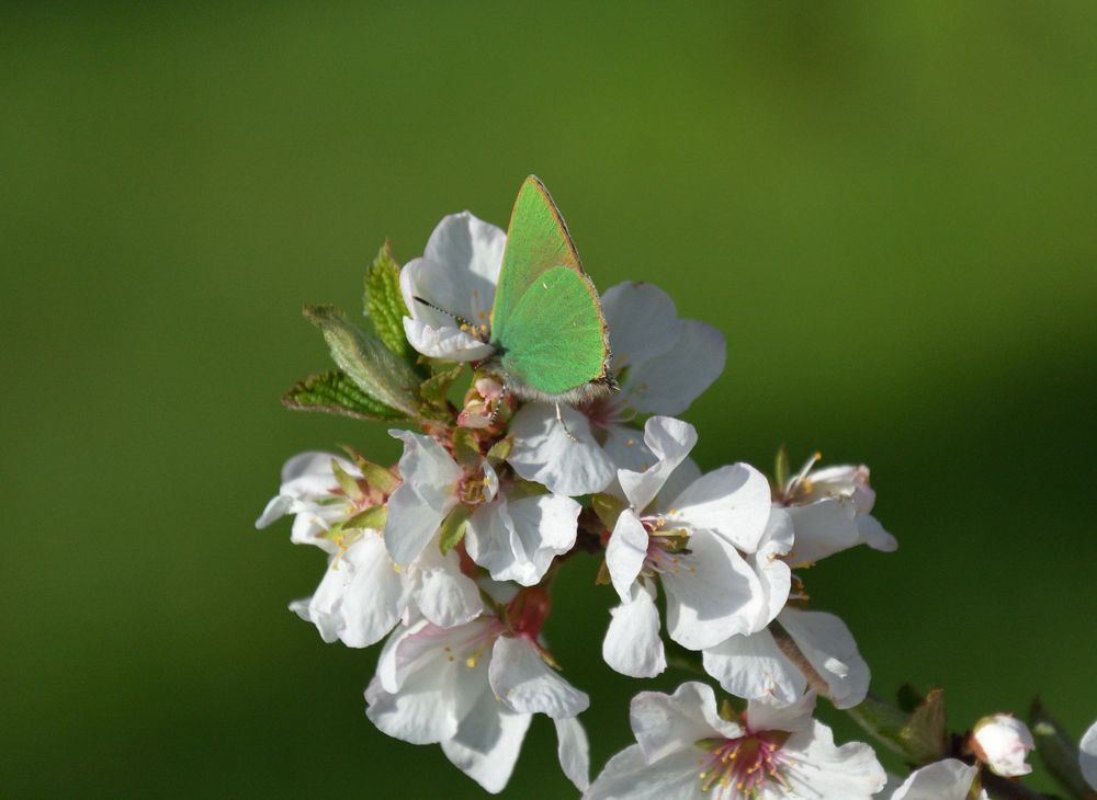 Photograph by Анжелика