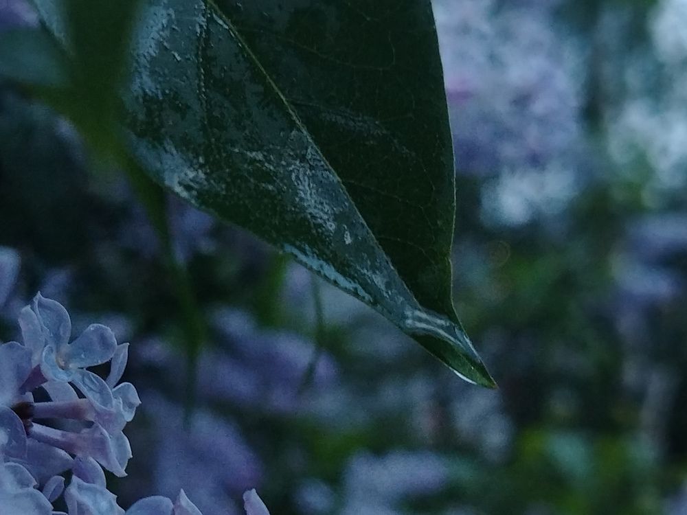 Photograph by Анастасия Туркина