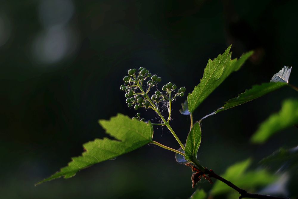 Photograph by Екатерина Самошкина