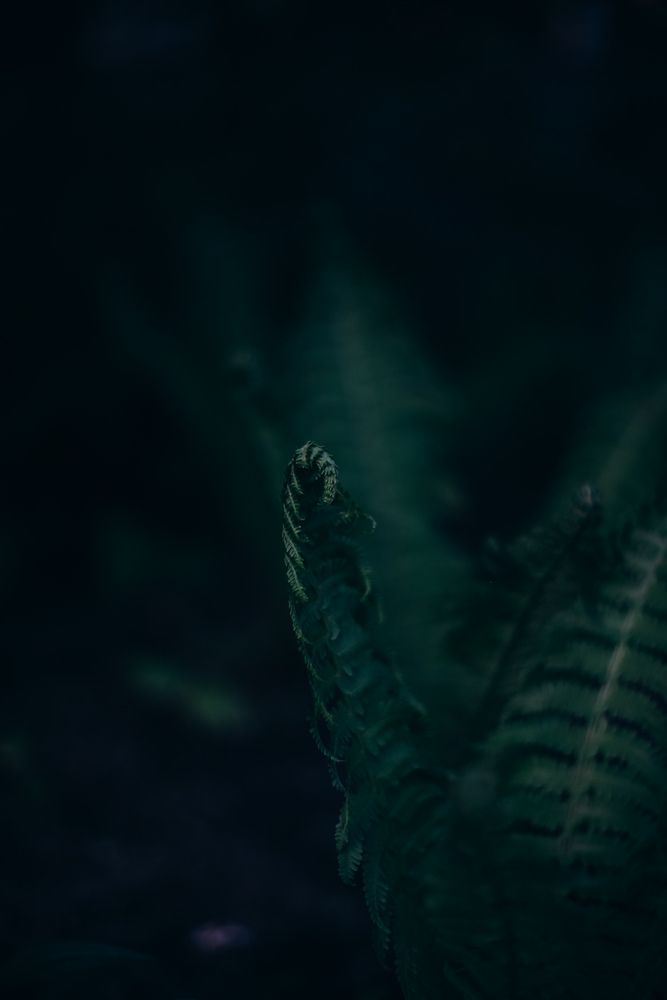 Photograph by Алиса Нежинская