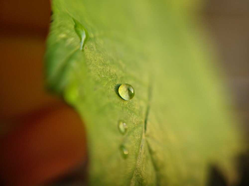Photograph by Marie-Belle