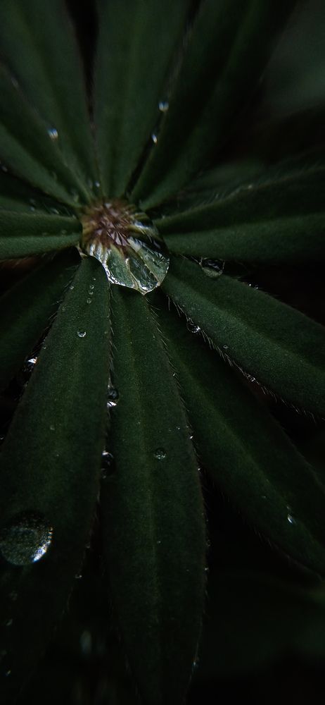 Photo #13595526