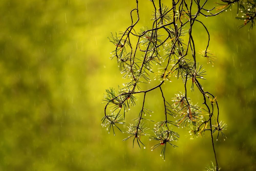 Photograph by Юлия Куликова