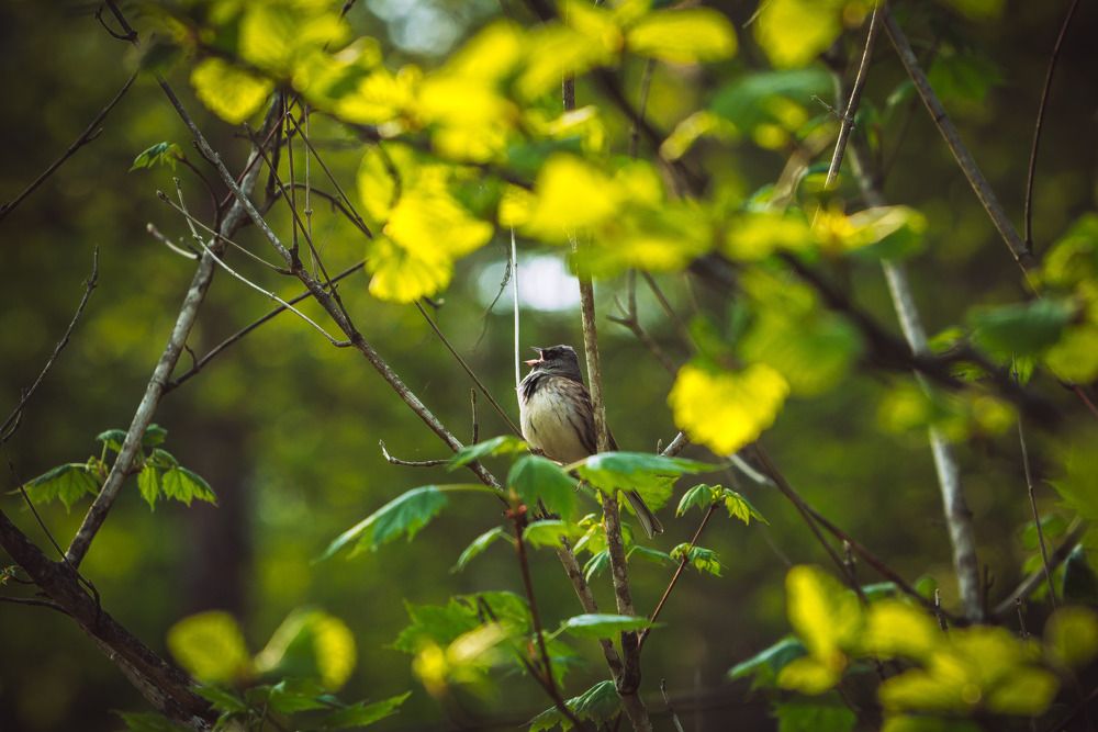 Photograph by Александр Салякаев