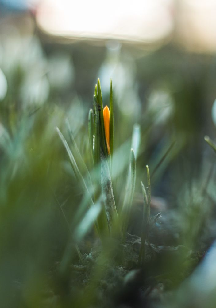 Photograph by Nataly Mayak