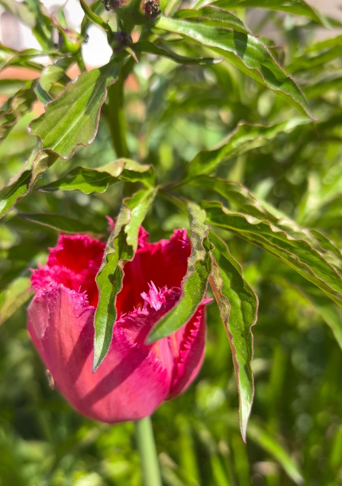 Photograph by Мария Пуляевская