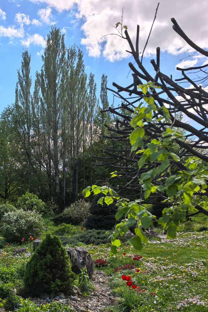 Photograph by Мария Пуляевская