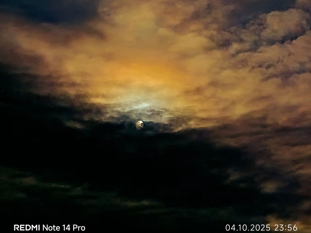 Photograph by Анна Меркушина