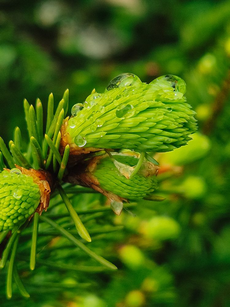 Photograph by Grushko Valeriya