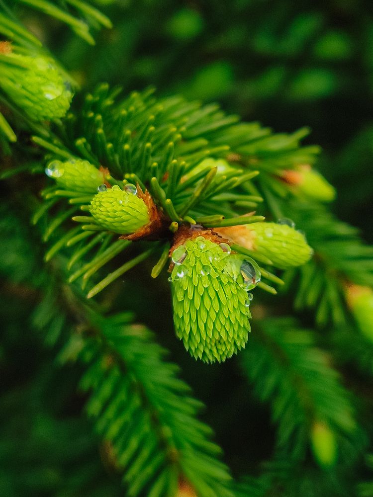 Photograph by Grushko Valeriya