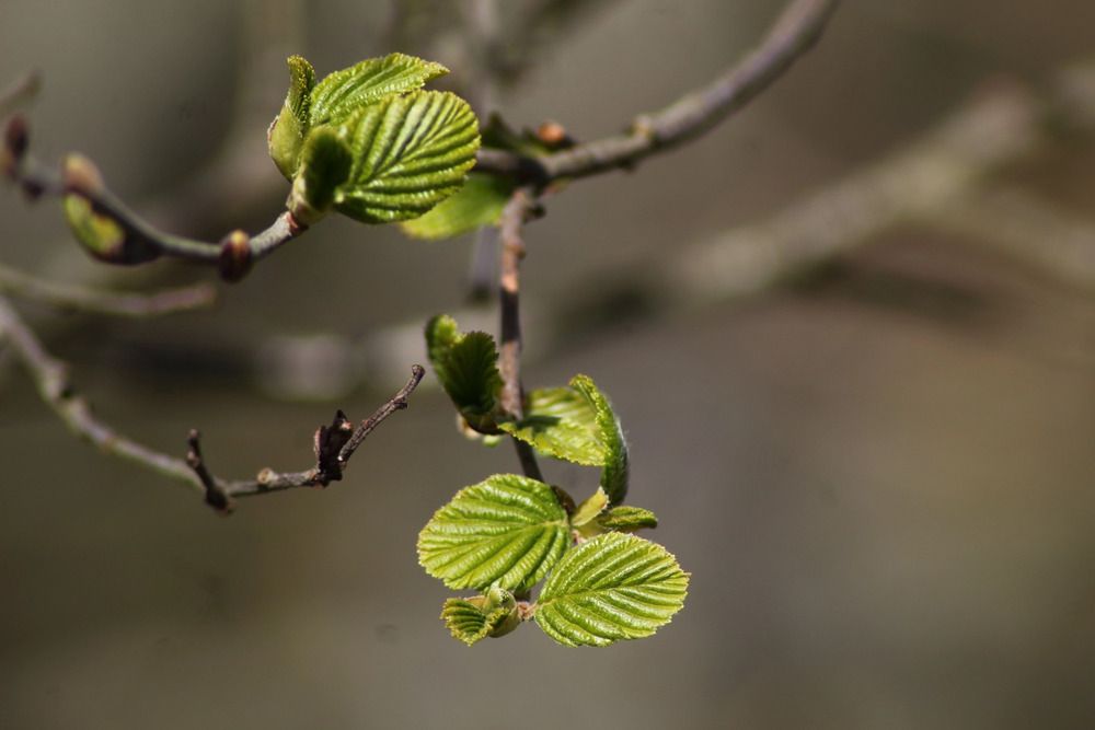 Photograph by Елена Наленч